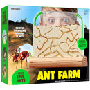 Ant Farm Kit-1