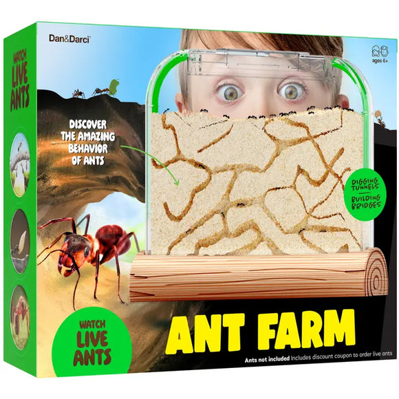 Ant Farm Kit