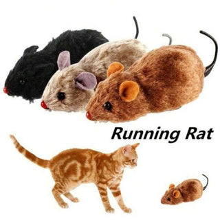 Running Rat