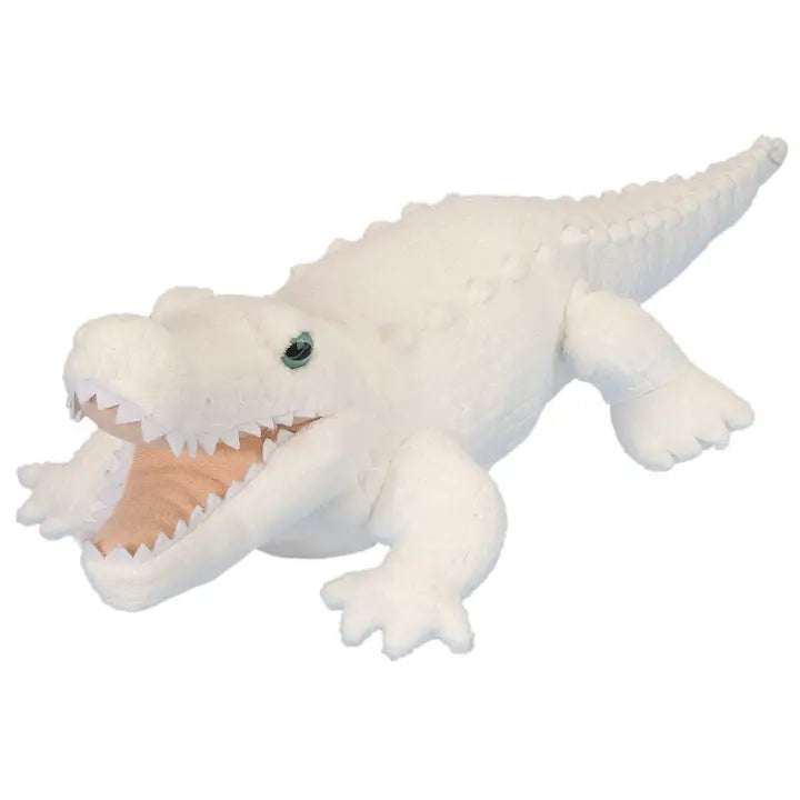 White Alligator