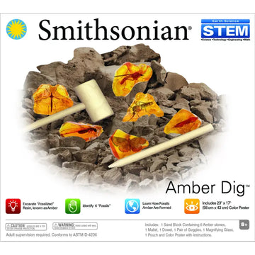 Smithsonian Amber Dig