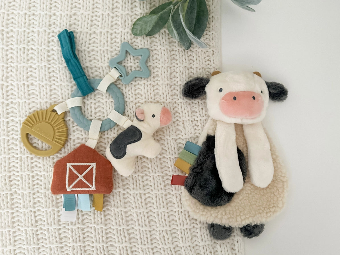 Bitzy Busy Gift Set - 0