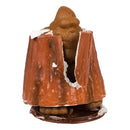 Grow A Bigfoot, Diy Experiment-3