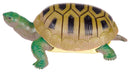 Turtle Squishimals-4