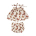 MONARCH BUTTERFLIES